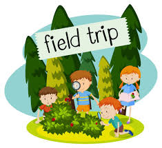 Outdoor-Field 