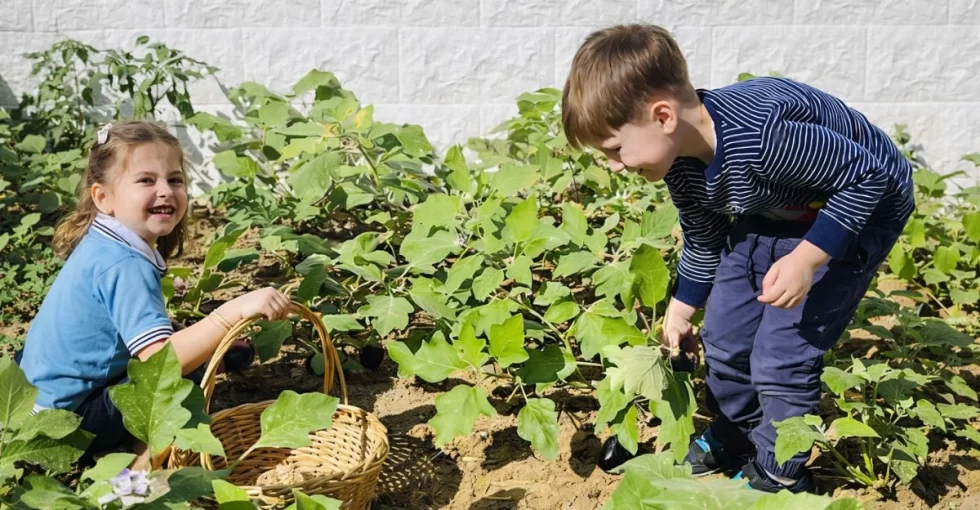 Organic Garden Exploration