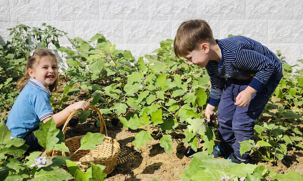 Organic Garden Exploration